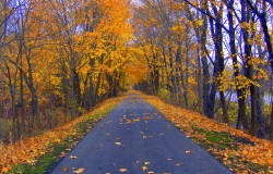 North and South County Trailways Bike Map